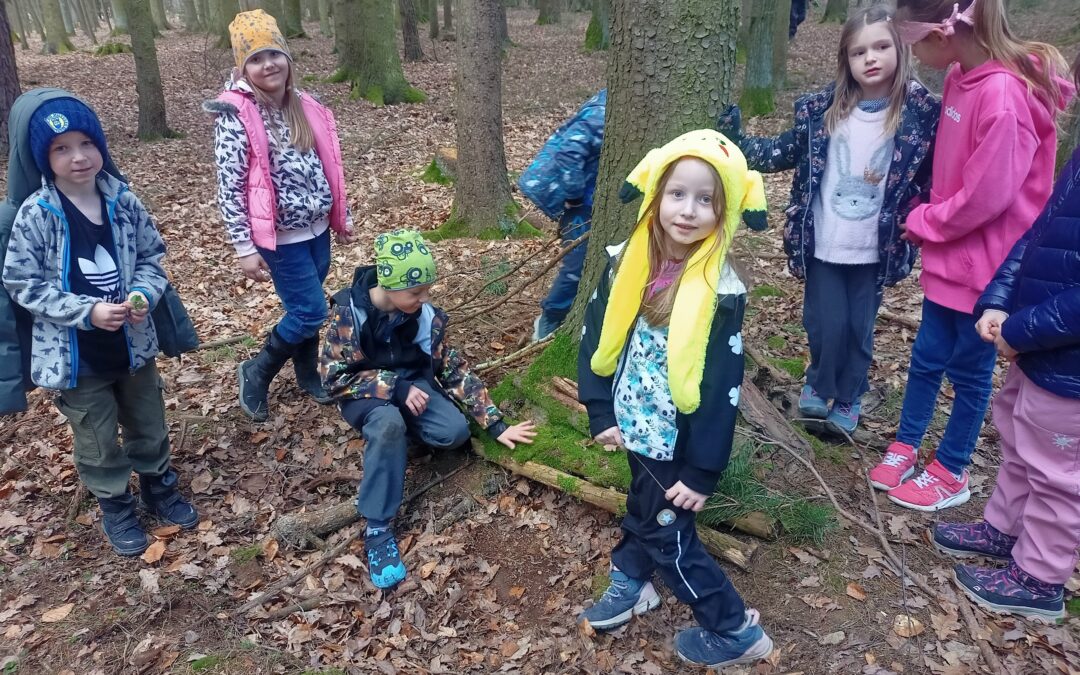 Domečky pro skřítky